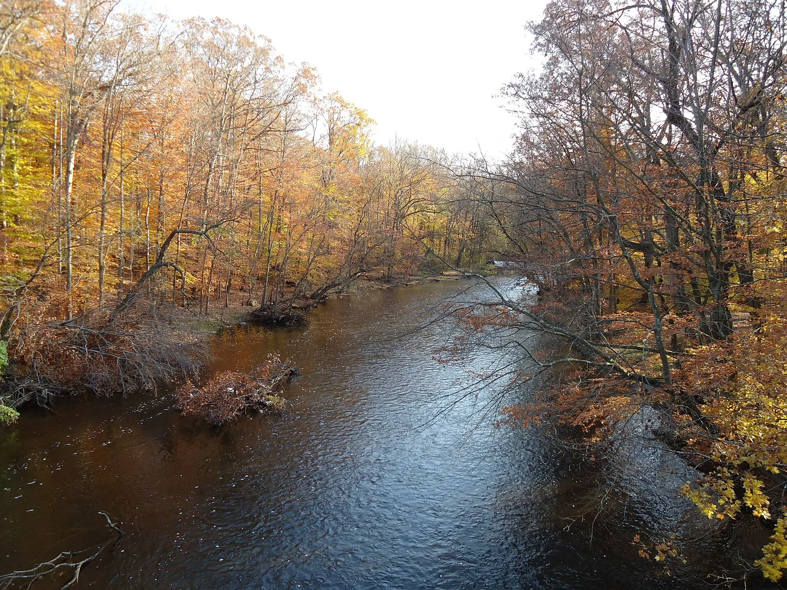 Река, берег осенью